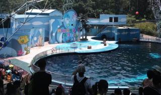 深圳动物园门票团购 深圳动物园门票团购